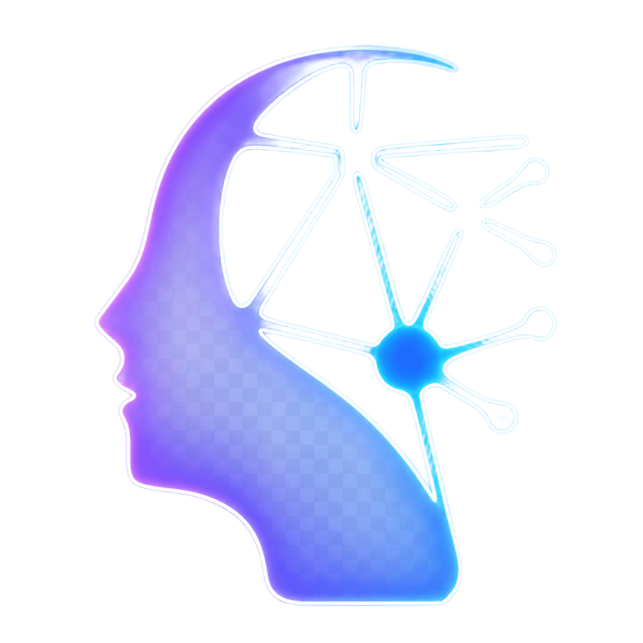 SFTY icon